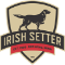 Irish Setter